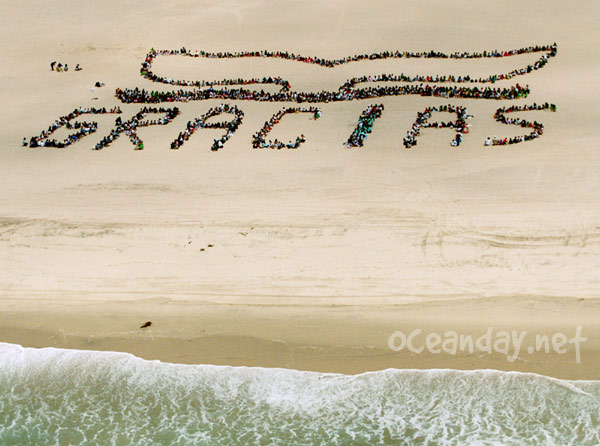 Ocean Day - Los Angeles