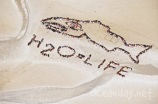 Ocean Day - Victoria, British Columbia