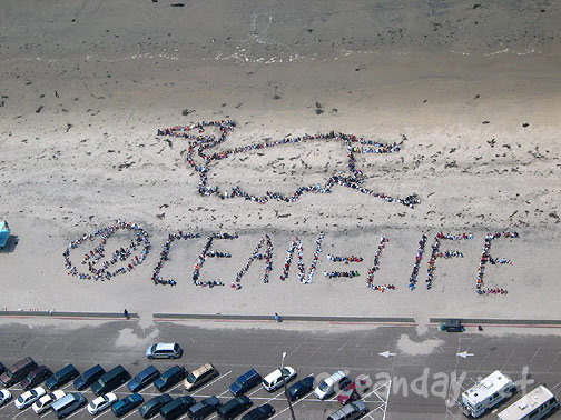 Ocean Day -San Diego