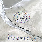 2004 - PRESERVE