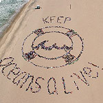 2004 - KEEP OCEANS ALIVE!