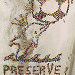 2004 - PRESERVE