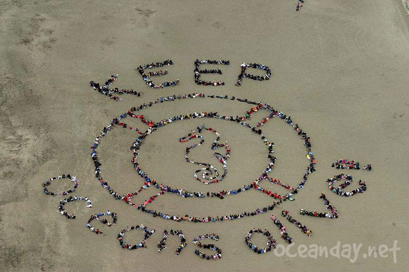 Ocean Day -San Francisco