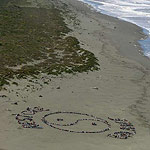 2005 - Restore Balance