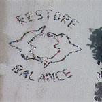 2005 - Restore Balance