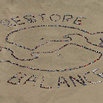 2005 - Restore Balance