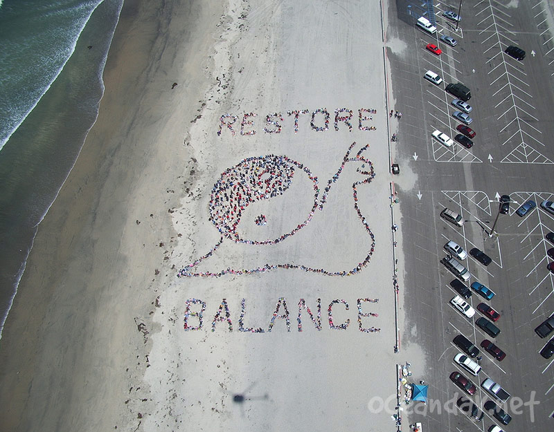 2005 - Restore Balance