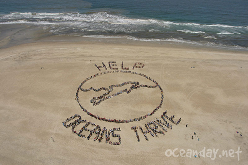 2006 - Help Oceans Thrive