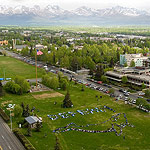 2007 - The Migrating Human Whale Project