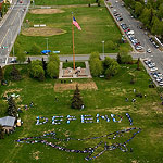 2007 - The Migrating Human Whale Project