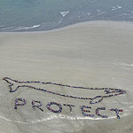 2007 - The Migrating Human Whale Project