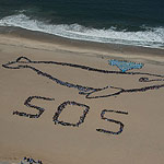 2007 - The Migrating Human Whale Project