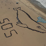 2007 - The Migrating Human Whale Project