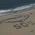 2007 - The Migrating Human Whale Project