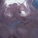 2007 - The Migrating Human Whale Project