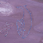 2007 - The Migrating Human Whale Project