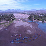 2007 - The Migrating Human Whale Project