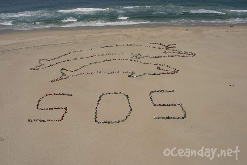 2007 - The Migrating Human Whale Project