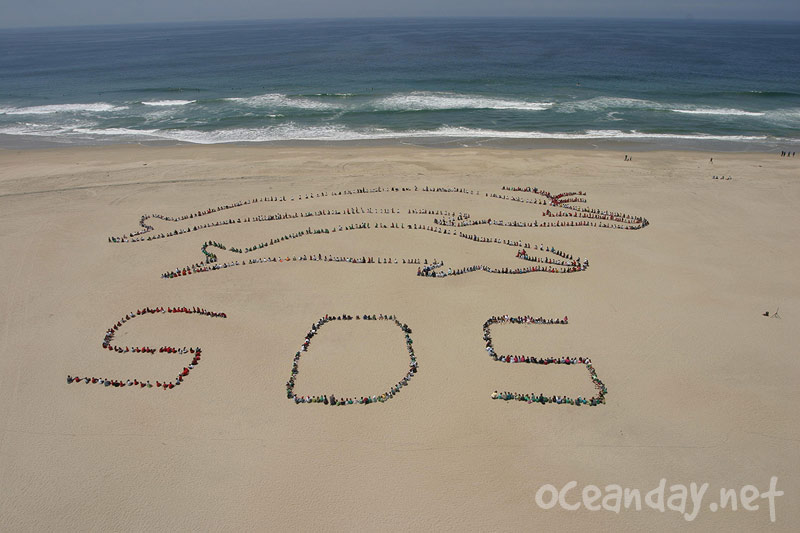 2007 - The Migrating Human Whale Project