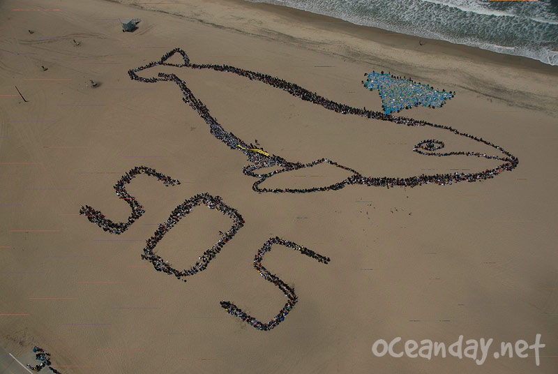 2007 - The Migrating Human Whale Project