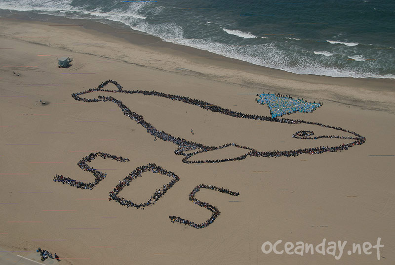 Ocean Day - Los Angeles