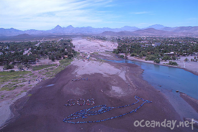 2007 - The Migrating Human Whale Project