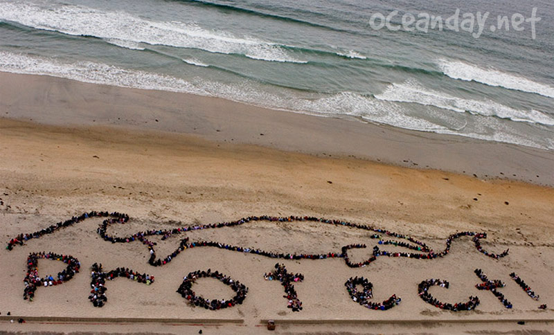 Ocean Day -San Diego