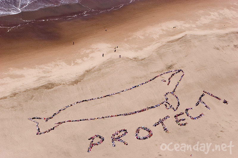 2007 - The Migrating Human Whale Project