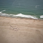 2009 - Save Our Ocean