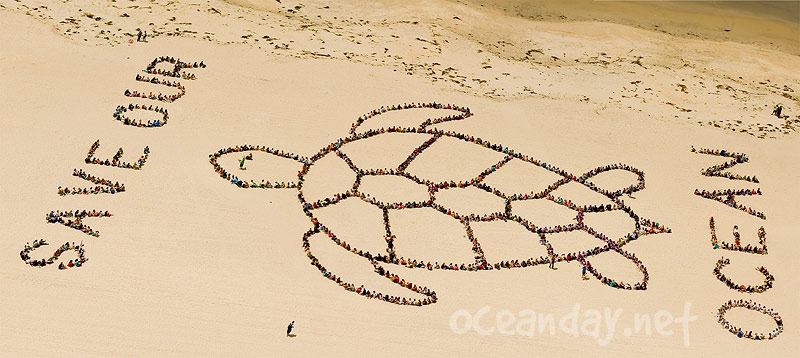 2009 - Save Our Ocean