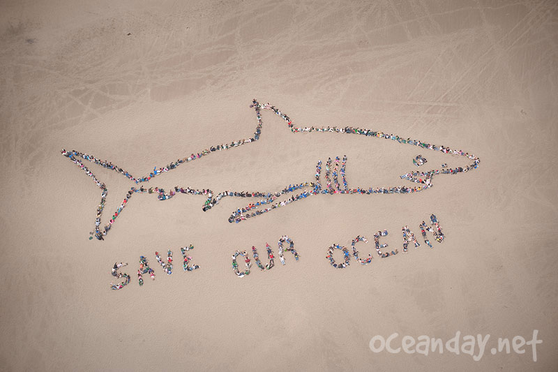 Save Our Ocean