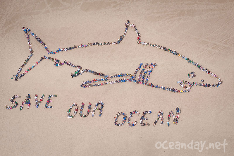 Save Our Ocean