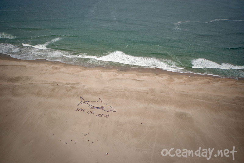 Save Our Ocean