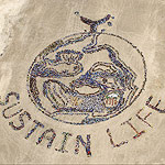 2010 Sustain Life on our Water Planet