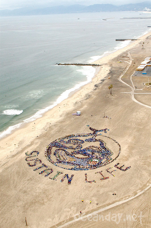 Ocean Day - Los Angeles