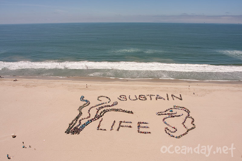 2010 Sustain Life on our Water Planet