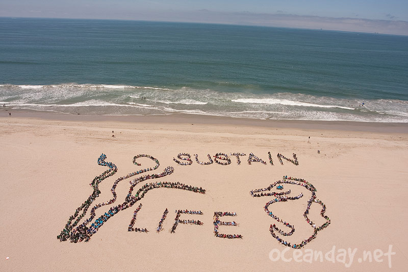 2010 Sustain Life on our Water Planet