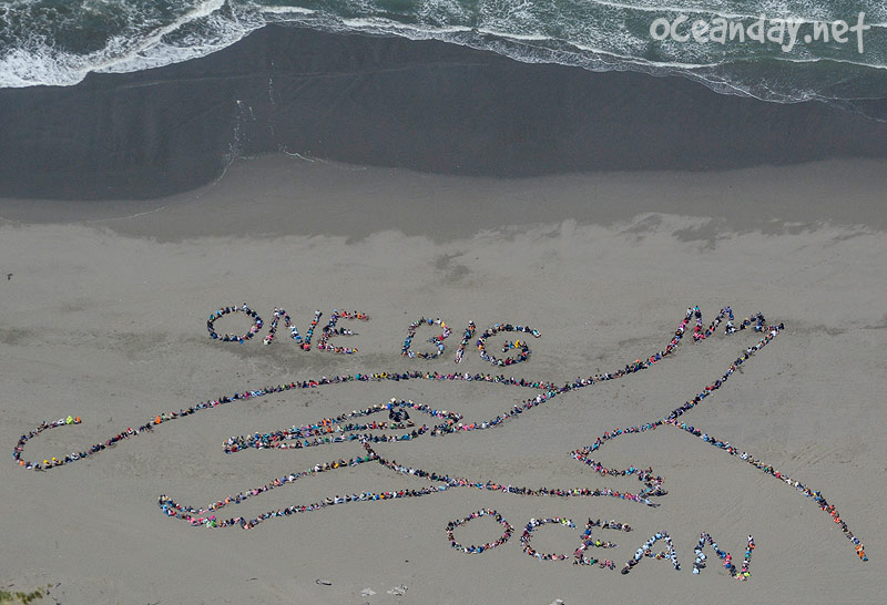 2014 - Ocean Day