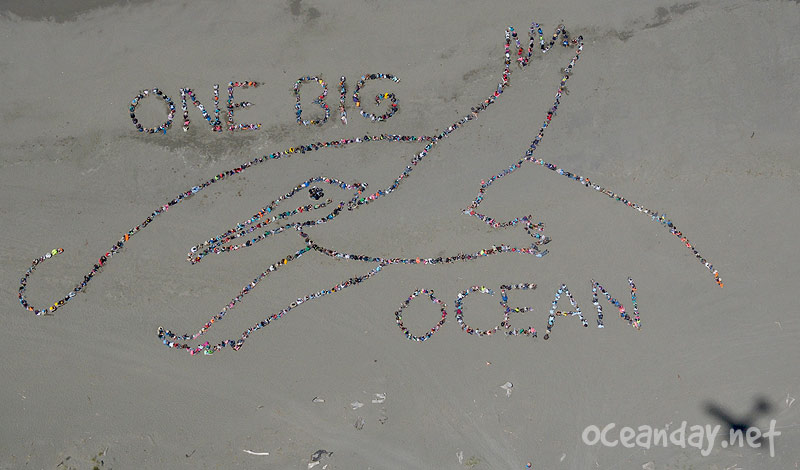 2014 - Ocean Day