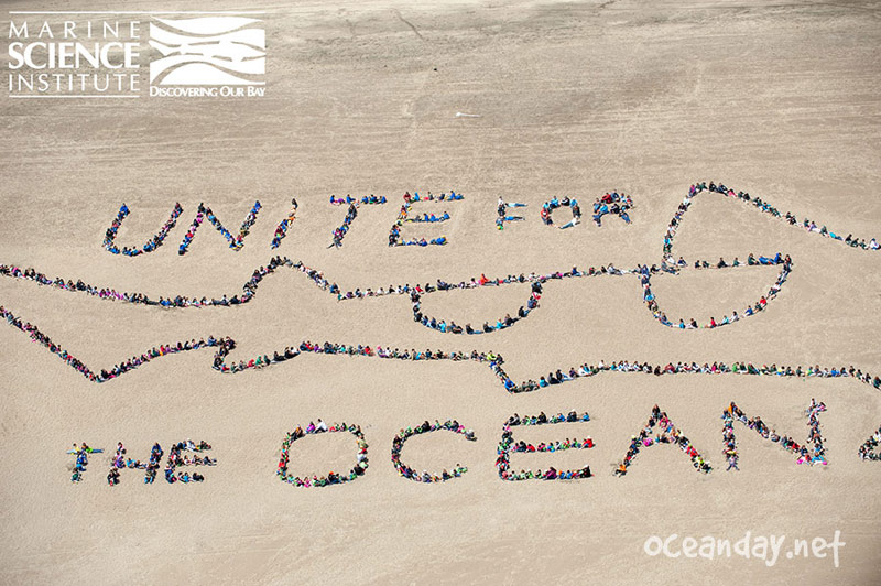 2015 - Ocean Day