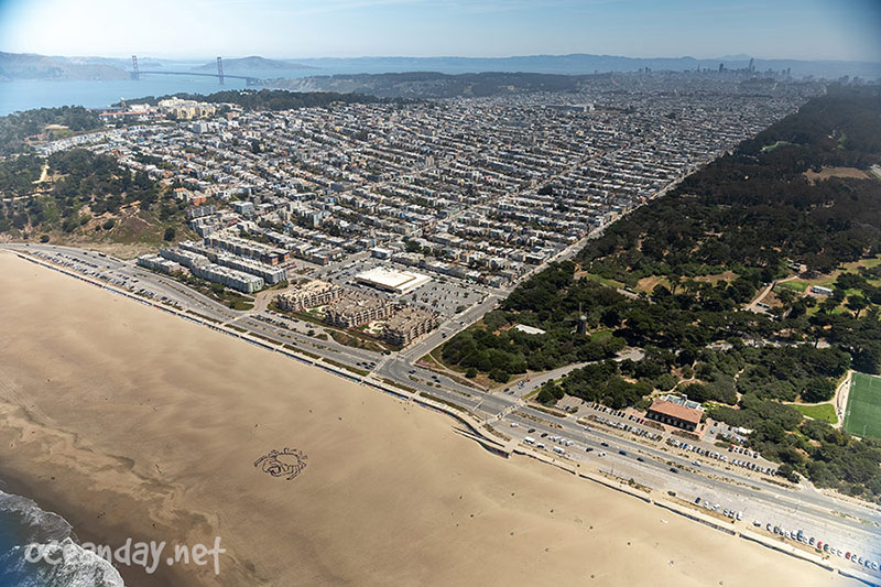 Ocean Day -San Francisco