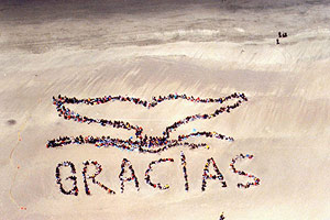 2000 - WHALE TAIL GRACIAS