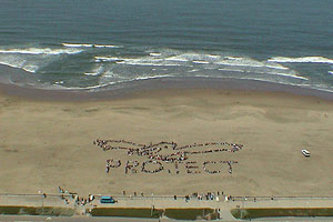 2002 - PROTECT MARINE ANIMALS