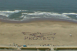 2002 - PROTECT MARINE ANIMALS