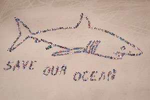 2009 - Save Our Ocean